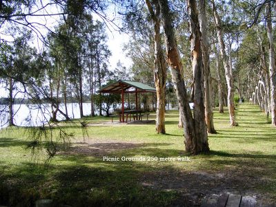 40 Elizabeth Parade, Forster