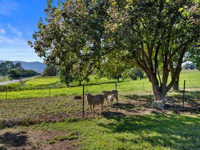 1454 Yackandandah-Dederang Road, Dederang