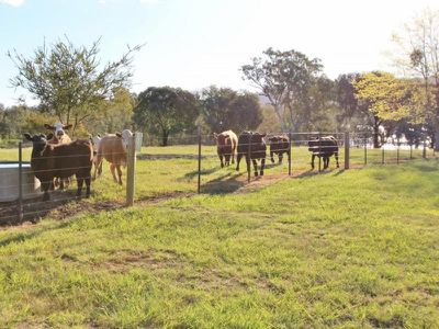 454 Howes Creek, Mansfield