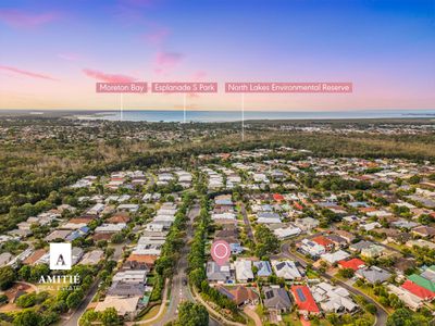 17 Cottonwood Circuit, North Lakes
