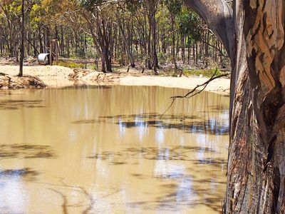 999 Burkes Flat - McIntyre Road, Mcintyre