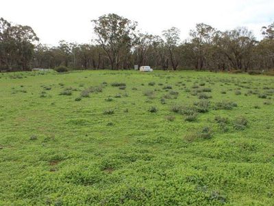 Old Boort Road, Wedderburn