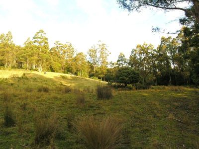 Lot 1 Halls Track Road, Pelverata