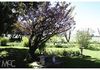 1012 Vittoria Road, Millthorpe