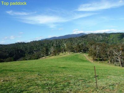 449 Sheepskin Road, Burragate