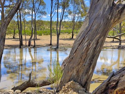 999 Burkes Flat - McIntyre Road, Mcintyre