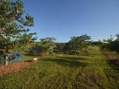 1212 Innisfail Japoon Road, Camp Creek