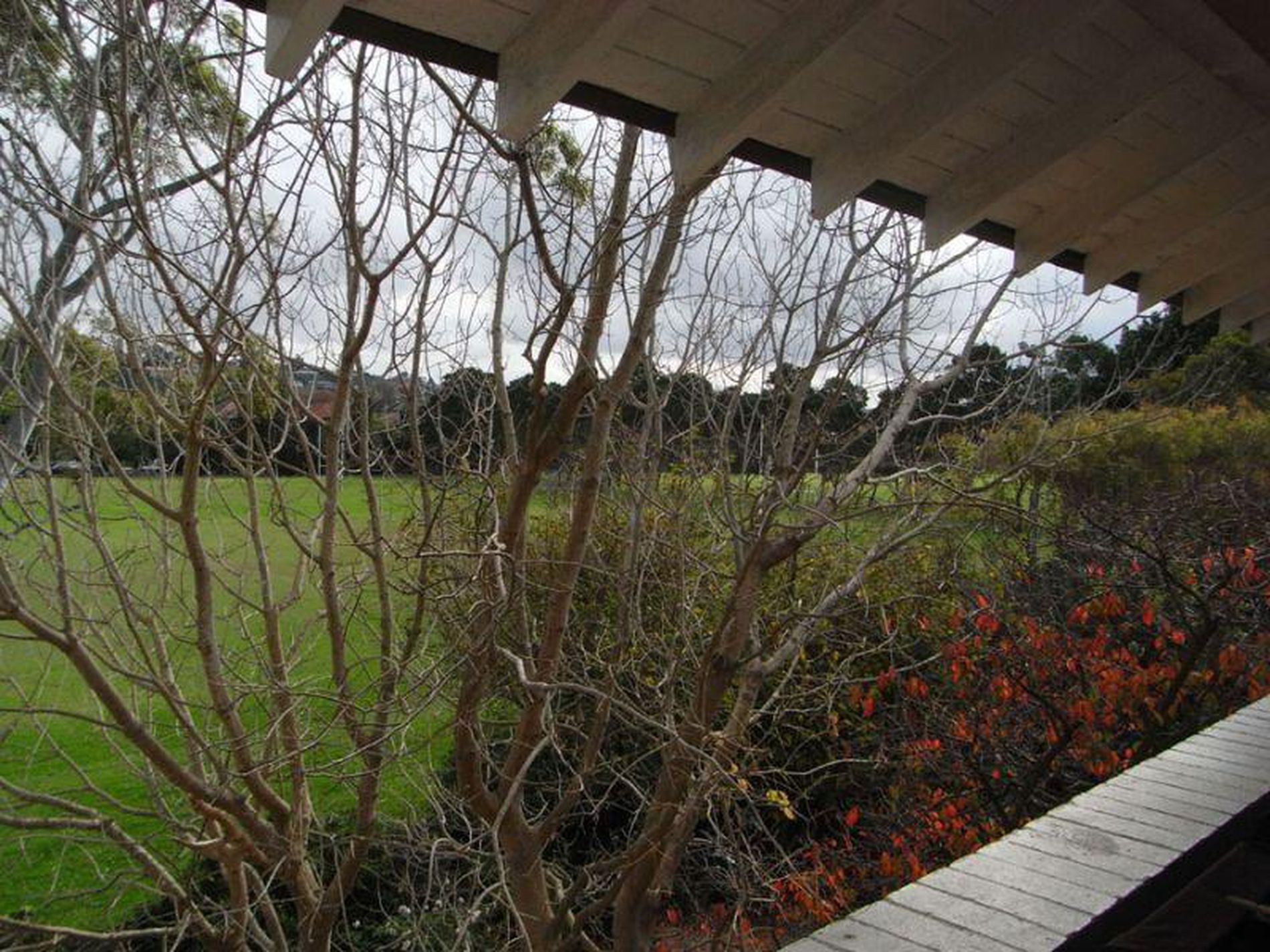 36 Kent Road, Rose Bay