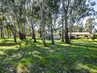 7 Hayes Road, Swanpool