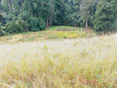 Lot 94, 2667 Pappinbarra Road, Pappinbarra