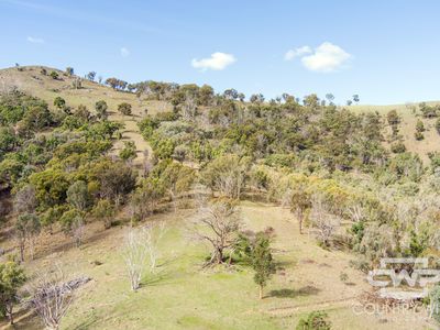 Lot 21 Halls Creek Road, Bendemeer
