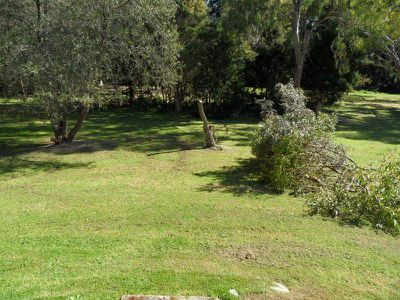 25 The Glen Road, Bardwell Valley