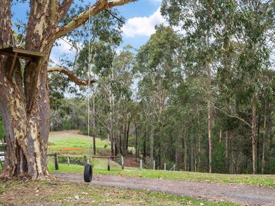 D3380 Princes Highway, Jerrawangala