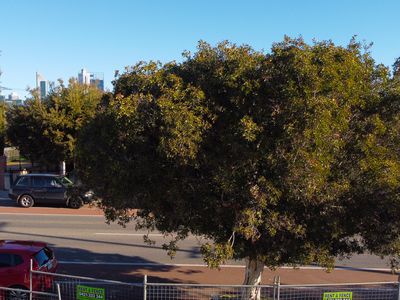 284 Bulwer Street, Perth