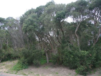 65 Murray Street, Rye