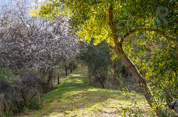 55 Kinnear Road, Mickleham