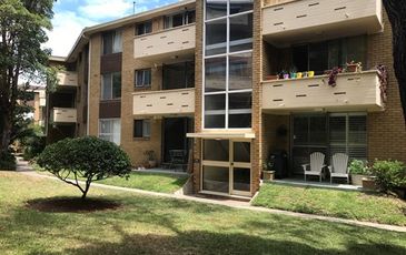 66 / 6-8 Frances  Street, Randwick