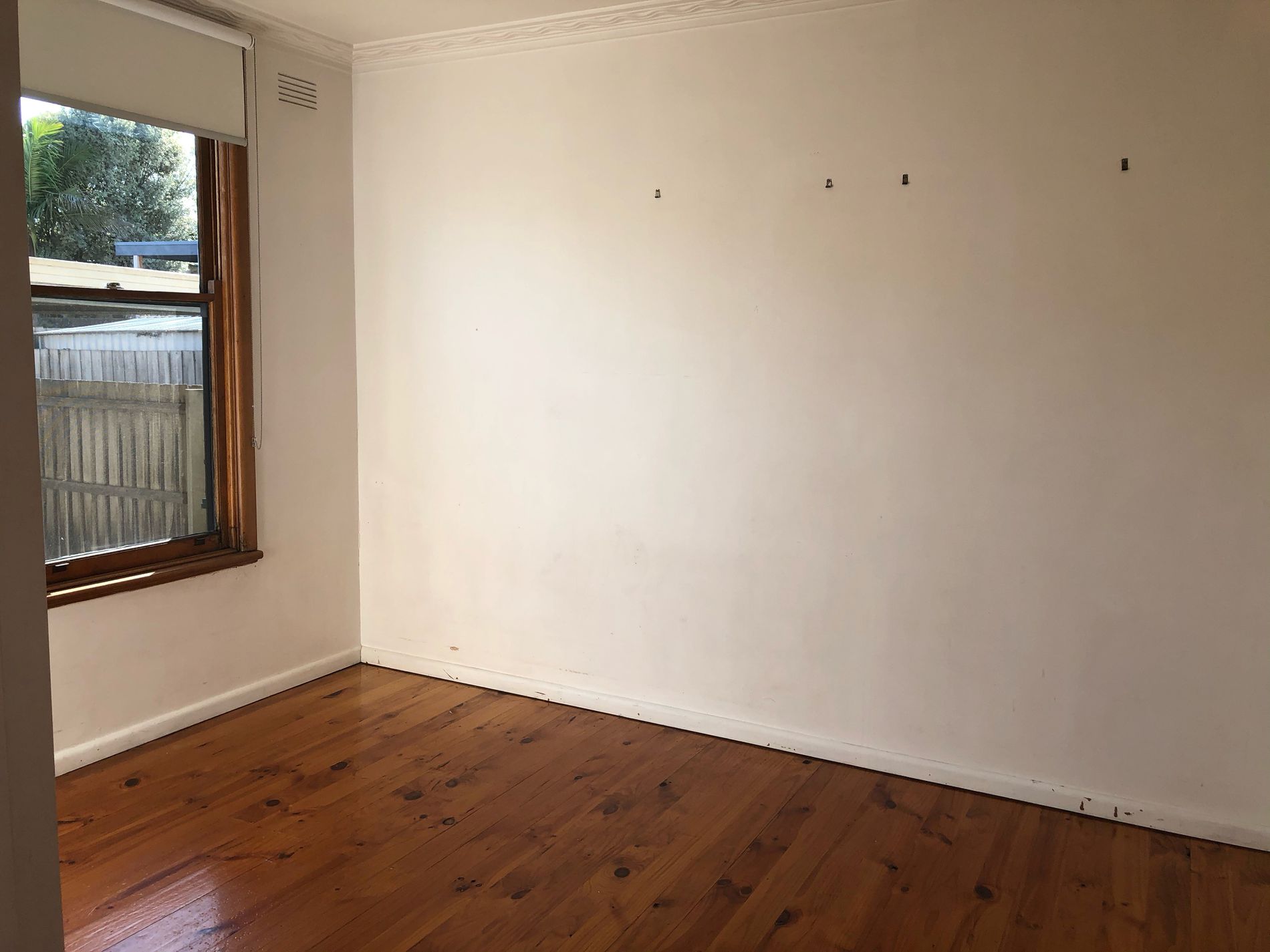 3 / 24 Anderson Street, East Geelong
