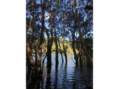 7 Chace Close, Cooktown