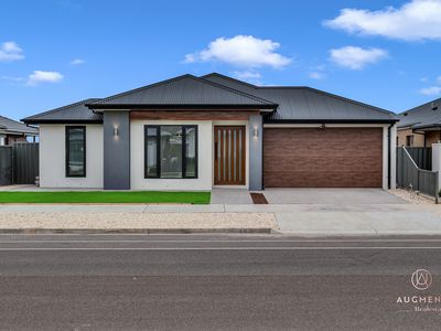 31 Fawcett Road, Lucas