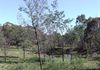 68 Cullya Road, Clergate, Orange