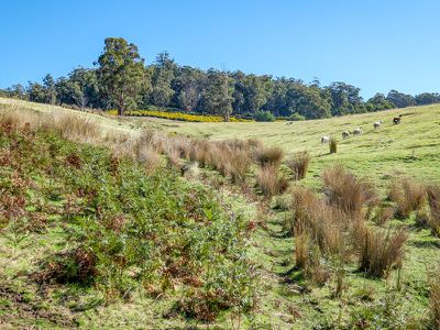 Ra Alans Road, Petcheys Bay