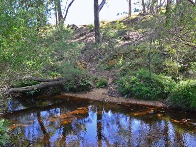 Carrington Falls