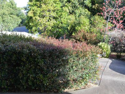 1 / Unit 1 No 4 Willaroo Way, Maleny