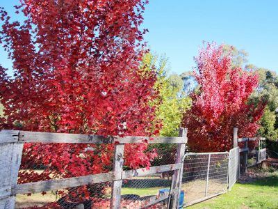 Beechworth