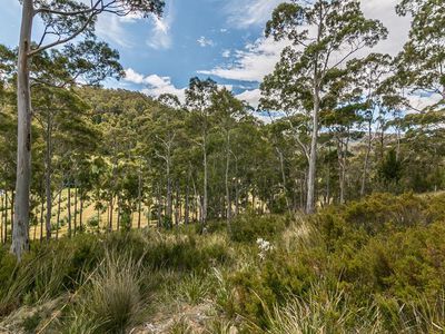 29 Cowen Joe Road, Gardners Bay