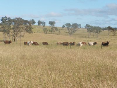 New England Highway, Deepwater