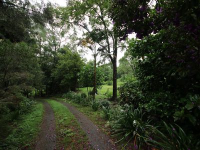 Terania Creek