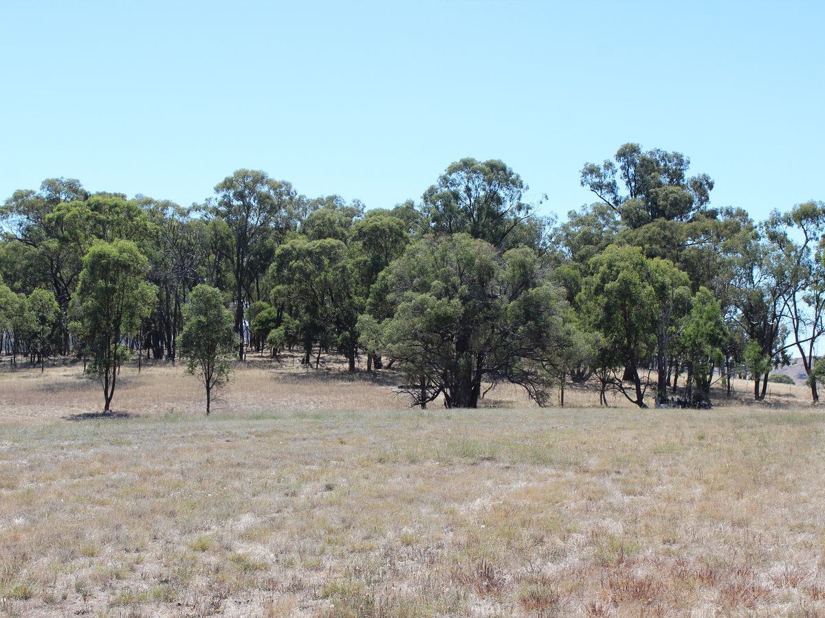 Lot 45, Lakeside Drive, Chesney Vale