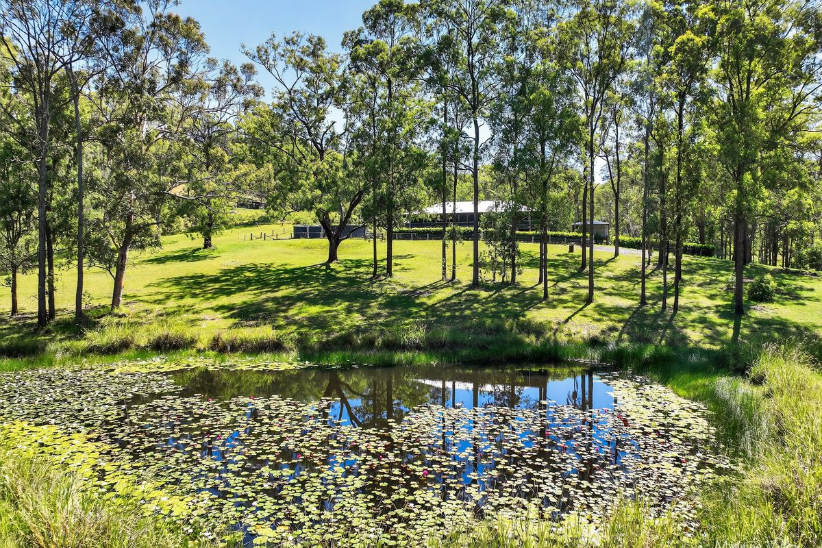 145 Plantation Lane, Cedar Party