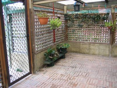 333 Reddall Pde, Mount Warrigal