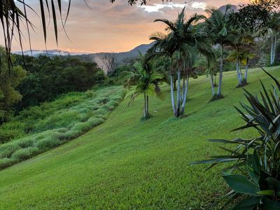 3911 Kyogle Road, Lillian Rock
