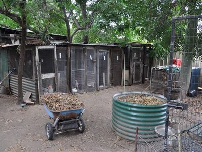 Lot 5 Loftus St, Eugowra