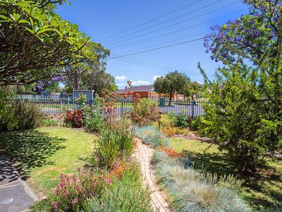 20 Bourlang Avenue, Camden Park
