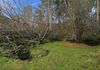 820 Ellendale Road, Ellendale
