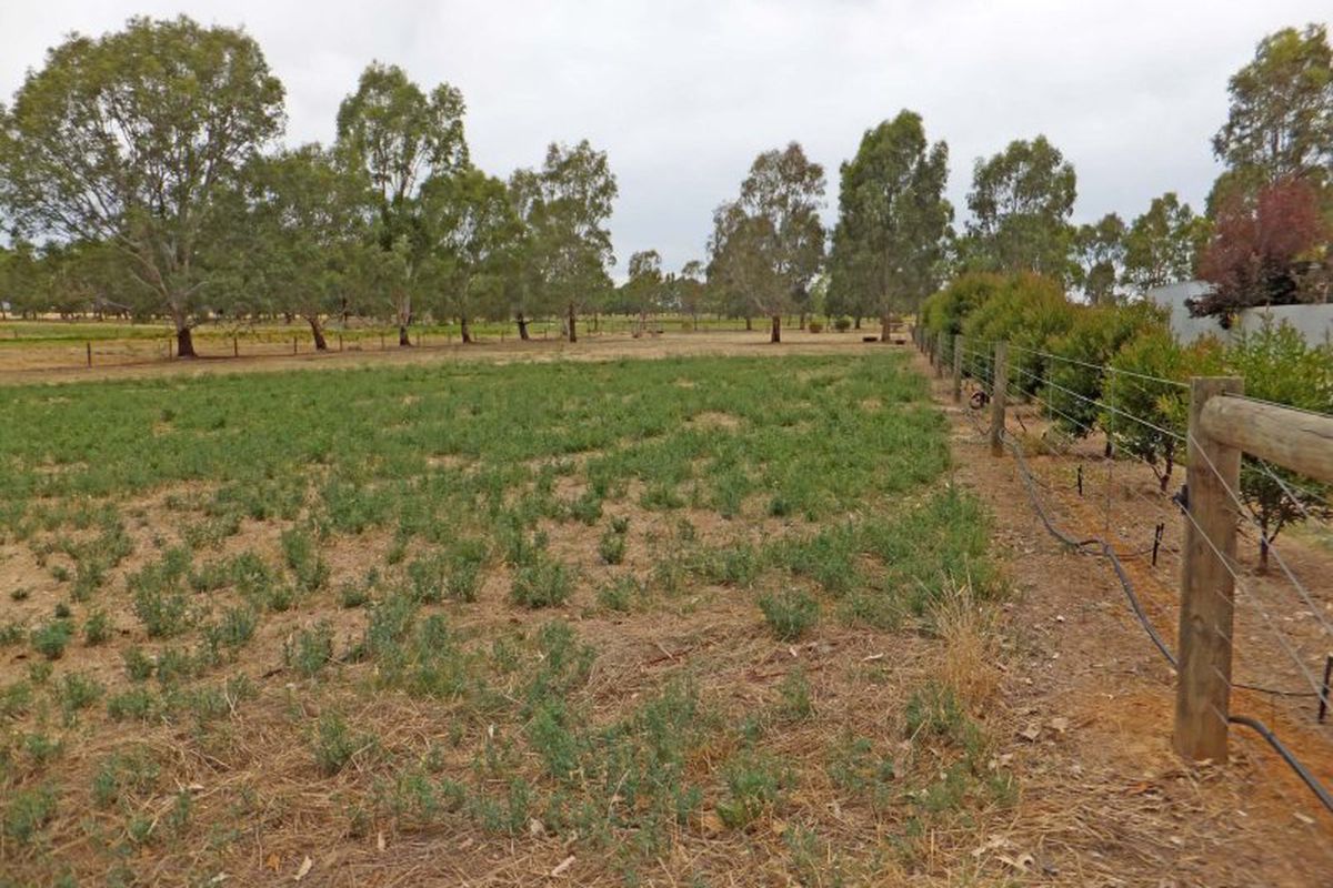 4038 Midland Highway, Stanhope