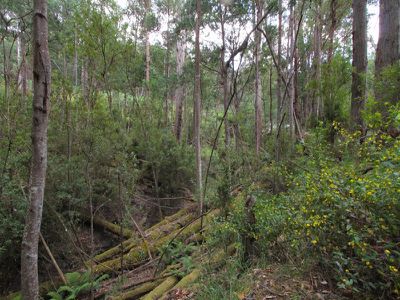 57 Martins Road, Petcheys Bay