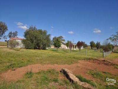 606 Comobella Road GEURIE, Dubbo