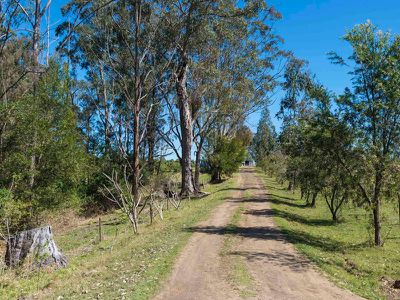 112 Homeleigh Road, Homeleigh via, Kyogle