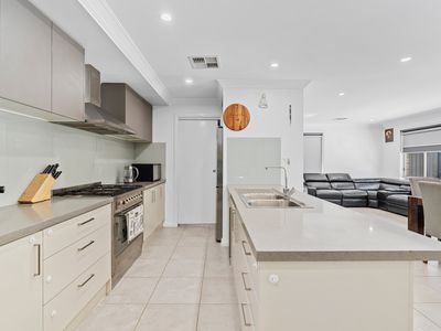 55 Stevens Drive, Oran Park