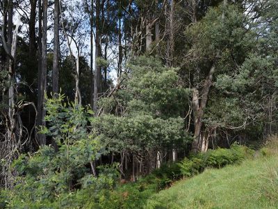 Lot 1 Kalonga Road, Nicholls Rivulet
