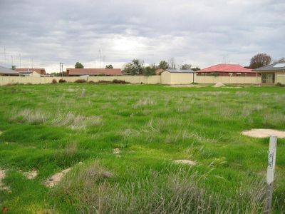 Barham