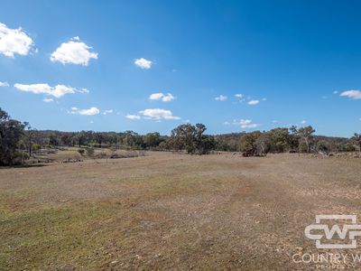 Lot 10 & 12, - Gulf Road, Emmaville
