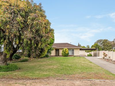 165 Mount Gambier Road, Millicent