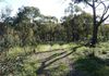 831 Bundalah Road, Orange