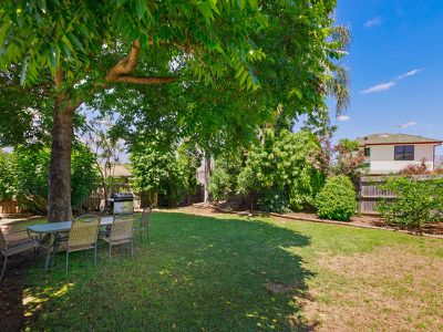 14 Wassell Street, Dundas